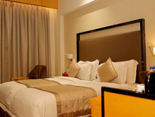 Room With All Luxuries